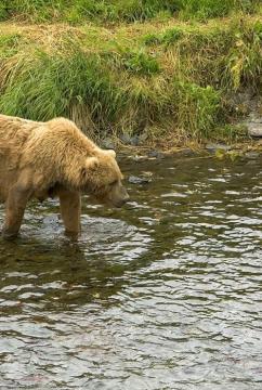 Maya Chen profile photo