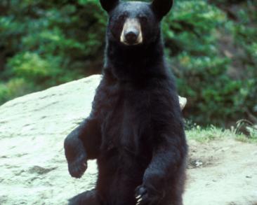 Alex Martinez avatar