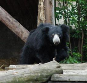 Leo Anders profile photo