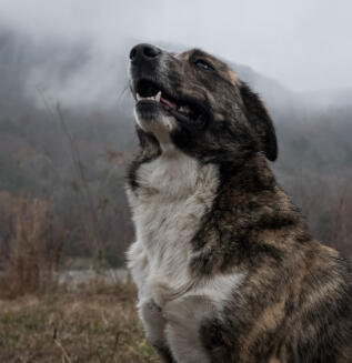 Alex Martinez avatar