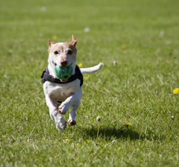 Alex Martinez avatar