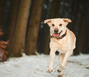 Jonas Richter profile photo