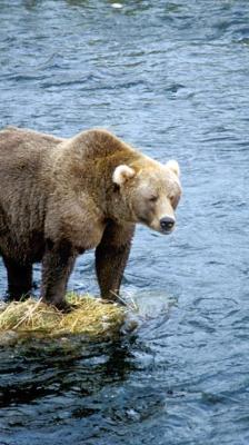 Leo Anders profile photo