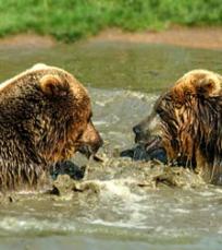 Jonas Richter profile photo