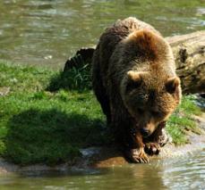 Maya Chen profile photo