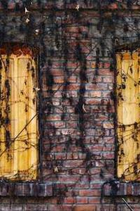 Leo Anders profile photo