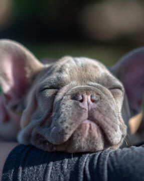 Leo Anders profile photo