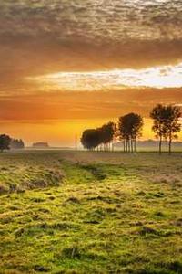 Maya Chen profile photo