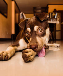 Maya Chen profile photo