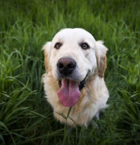 Leo Anders profile photo