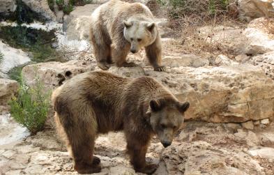 Alex Martinez avatar