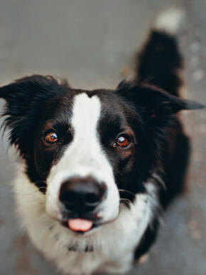 Alex Martinez avatar