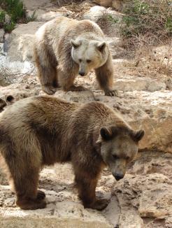 Maya Chen profile photo