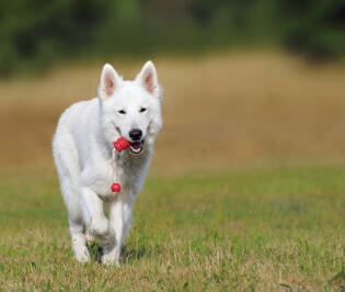 Jonas Richter profile photo