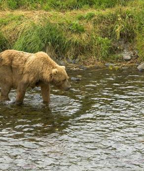 Leo Anders profile photo