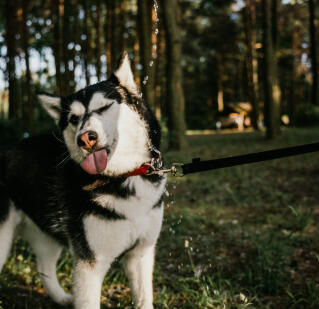 Jonas Richter profile photo