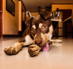 Jonas Richter profile photo