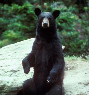 Alex Martinez avatar