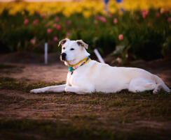 Jonas Richter profile photo