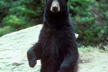 Jonas Richter profile photo