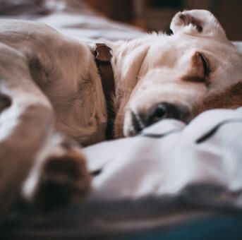 Jonas Richter profile photo