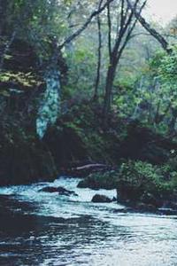 Jonas Richter profile photo