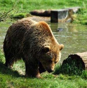 Maya Chen profile photo