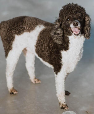 Leo Anders profile photo