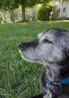 Leo Anders profile photo