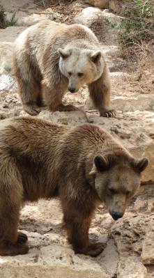 Maya Chen profile photo