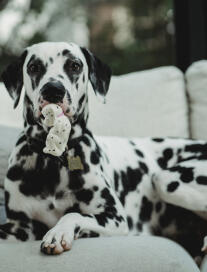 Leo Anders profile photo