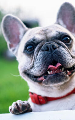 Alex Martinez avatar