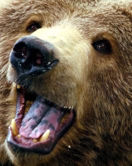 Jonas Richter profile photo