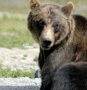 Alex Martinez avatar