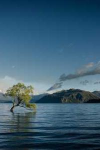 Maya Chen profile photo