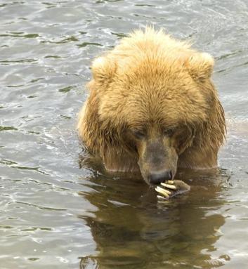 Alex Martinez avatar