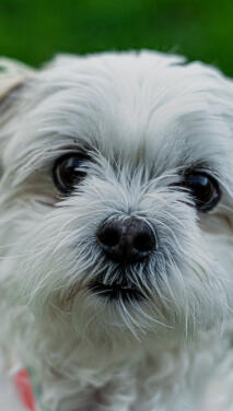 Jonas Richter profile photo