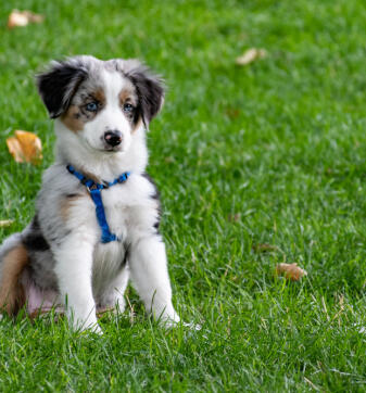 Maya Chen profile photo