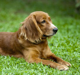 Maya Chen profile photo