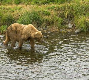 Alex Martinez avatar