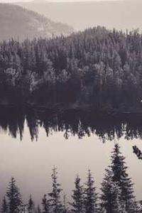 Jonas Richter profile photo