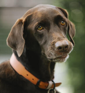 Jonas Richter profile photo