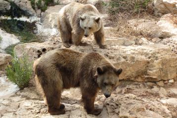 Alex Martinez avatar