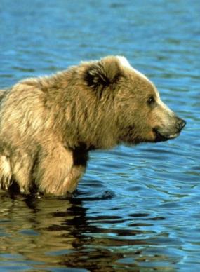 Alex Martinez avatar