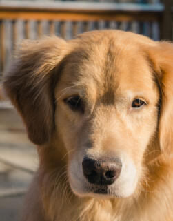 Jonas Richter profile photo