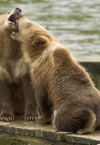 Leo Anders profile photo