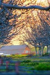 Maya Chen profile photo