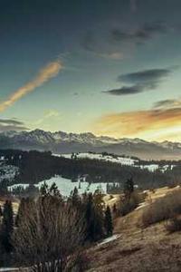 Alex Martinez avatar