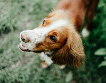 Leo Anders profile photo