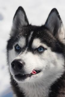 Leo Anders profile photo